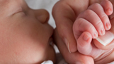 Seguro de Maternidad