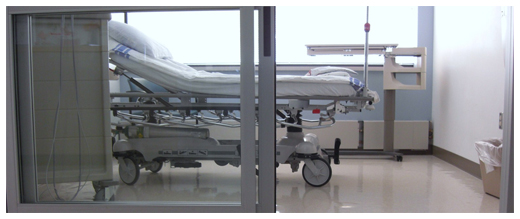 Hospitalización