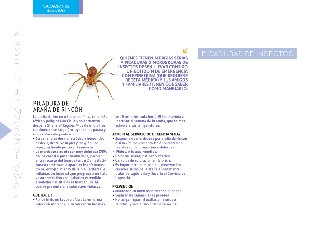 pagina46