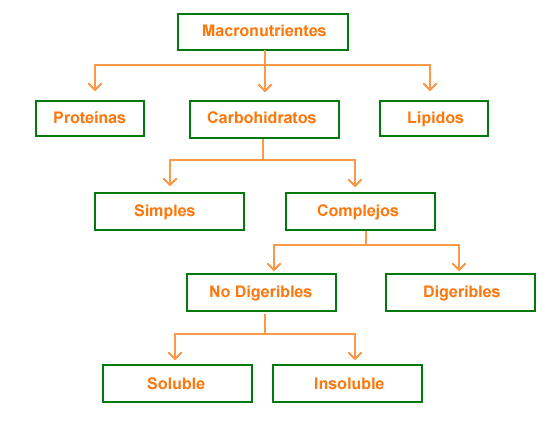 Clasificación Carbohidratos