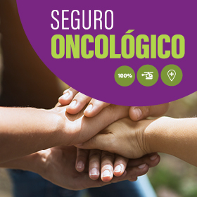 Seguro 6