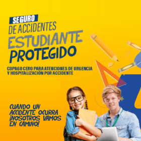Seguro 1