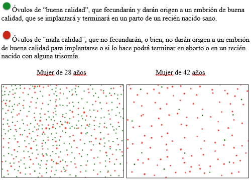 efecto de la edad de la mujer