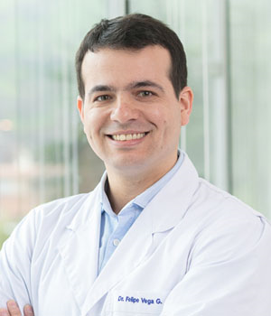 Dr. Felipe Vega González