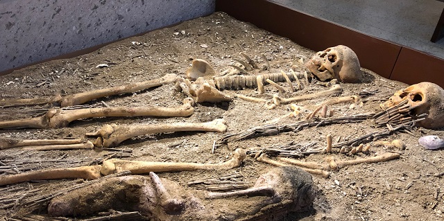 momias en un museo