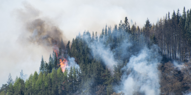 CUIDADOS RESPIRATORIOS POR EL HUMO DE LOS INCENDIOS: CÓMO PROTEGER TU SALUD