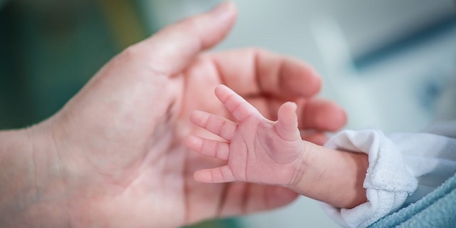 Mano de un adulto junto a la mano de un niño prematuro