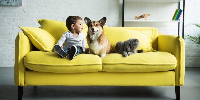 niño feliz sentado en un sofá amarillo con mascotas
